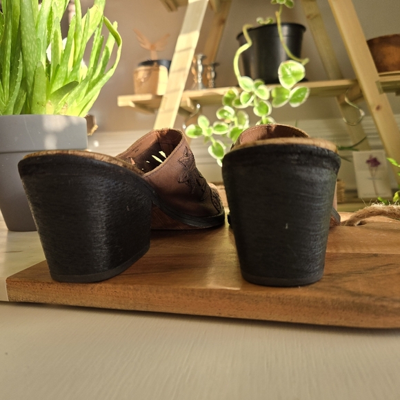 Carlos by Carlos Santana - Picture 9 of 12